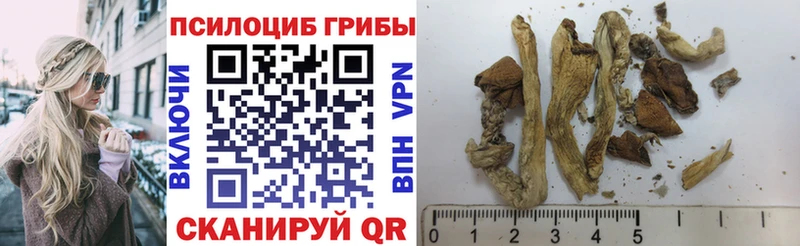 Псилоцибиновые грибы ЛСД Партизанск